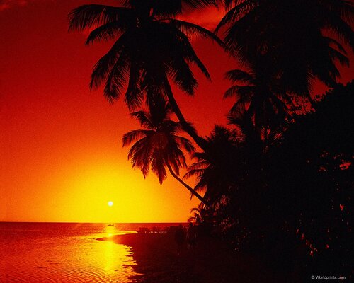 природа
