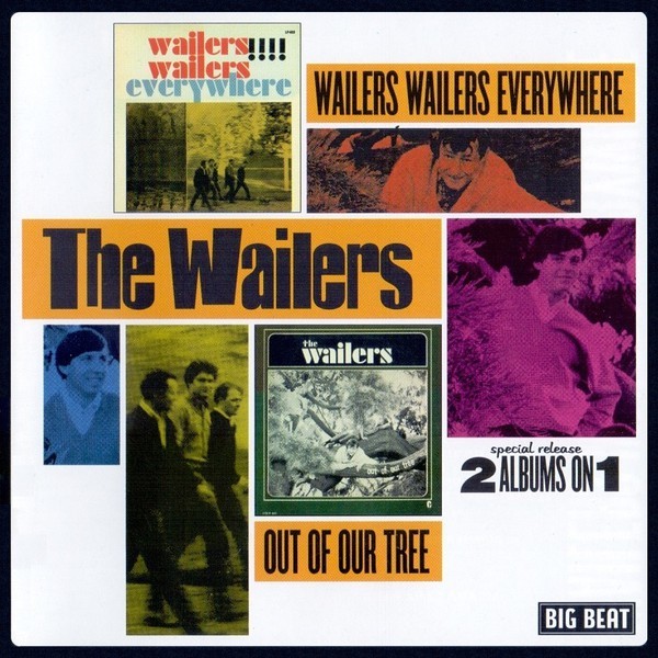 Wailers Wailers Everywhere / Out of Our Tree